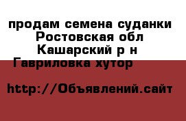 продам семена суданки - Ростовская обл., Кашарский р-н, Гавриловка хутор  »    